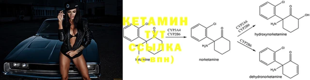 Альфа ПВП Майский