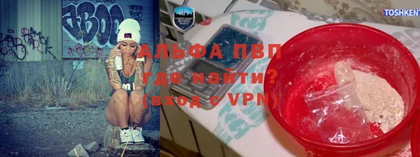 сатива Болхов