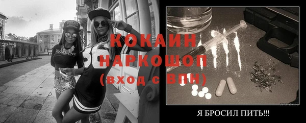 шишки Магадан